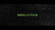 狗狗流口水不吃饭