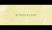 带小狗可以坐火车吗