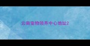 云南宠物领养中心地址