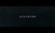 金毛多大能吃狗粮