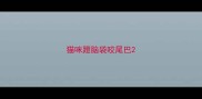 猫咪蹬脑袋咬尾巴