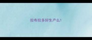 拉布拉多好生产么