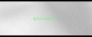 金毛犬成长2个月