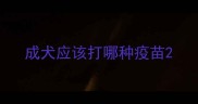 成犬应该打哪种疫苗