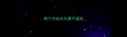 两个月幼犬大便不成形