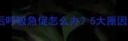 猫咪打疫苗后呼吸急促怎么办5大原因与应对指南