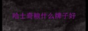 哈士奇粮什么牌子好