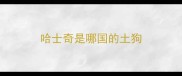 哈士奇是哪国的土狗