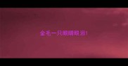 金毛一只眼睛眼泪