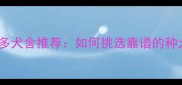 国内优质拉布拉多犬舍推荐如何挑选靠谱的种犬舍及饲养指南