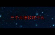 三个月德牧吃什么