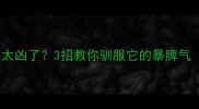 黑色拉布拉多太凶了3招教你驯服它的暴脾气附真实案例
