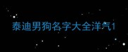 泰迪男狗名字大全洋气
