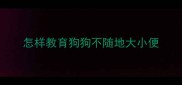 怎样教育狗狗不随地大小便