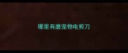 哪里有磨宠物电剪刀
