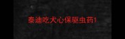 泰迪吃犬心保驱虫药