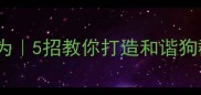 新手必看小狗群体行为5招教你打造和谐狗群附超全应对指南