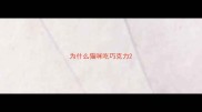 为什么猫咪吃巧克力