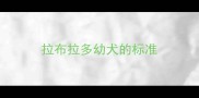 拉布拉多幼犬的标准