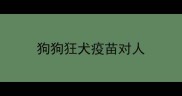 狗狗狂犬疫苗对人