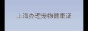 上海办理宠物健康证