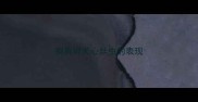 狗狗得犬心丝虫的表现