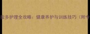 白色拉布拉多护理全攻略健康养护与训练技巧附专业建议