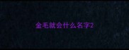 金毛就会什么名字