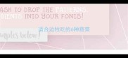 适合边牧吃的6种蔬菜