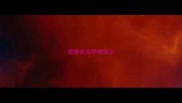 宠物美容学校培训