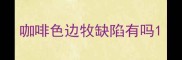 咖啡色边牧缺陷有吗