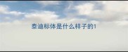 泰迪标体是什么样子的