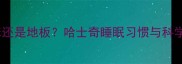 哈士奇睡床还是地板哈士奇睡眠习惯与科学选床指南