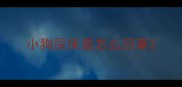 小狗尿床是怎么回事