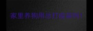 家里养狗用总打疫苗吗