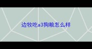边牧吃a3狗粮怎么样