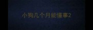 小狗几个月能懂事