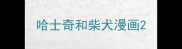 哈士奇和柴犬漫画