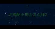 大狗配小狗会怎么样