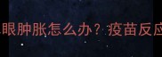 狗狗接种疫苗后单眼肿胀怎么办疫苗反应与紧急处理指南
