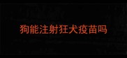 狗能注射狂犬疫苗吗