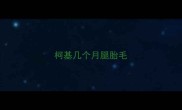 柯基几个月腿胎毛