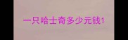一只哈士奇多少元钱