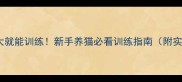 2个月大就能训练新手养猫必看训练指南附实操视频