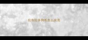 拉布拉多狗毛怎么光亮
