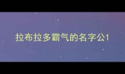 拉布拉多霸气的名字公