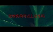 宠物狗狗可以上动车吗