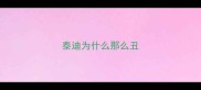 泰迪为什么那么丑