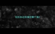 拉拉和边牧嗅觉哪个强