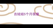 吉娃娃5个月很瘦
